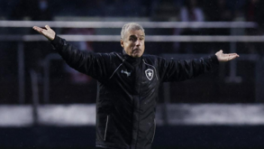 Botafogo de Luís Castro tem salários em atraso