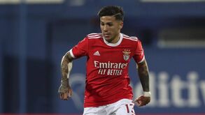 Benfica dá bónus a Enzo Fernández: Rui Costa tenta tudo para segurar o médio