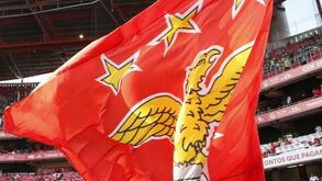 Benfica confirma que SAD e administradores foram constituídos arguidos