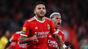 Gonçalo Ramos segue feitos da família Águas
