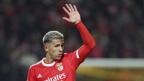 Saiba quanto é que o Benfica lucra com a venda de Enzo Fernández