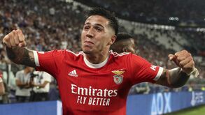 Enzo Fernández vai mesmo rumar ao Chelsea: Benfica e ingleses em contrarrelógio para fechar tudo