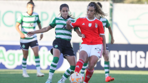 Benfica-Sporting para a Taça de Portugal joga-se no Estádio da Luz
