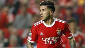 Observatório do Futebol: Enzo tem o valor estimado de transferência mais elevado fora das Big-5
