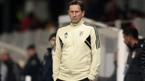 Sem Enzo e com mexidas na frente: o onze provável do Benfica para o jogo com o Portimonense