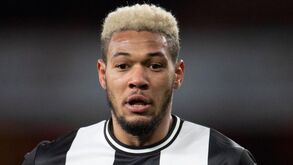 Liverpool quer as camisas havaianas de Joelinton: De 'flop' a mais adorado no Newcastle