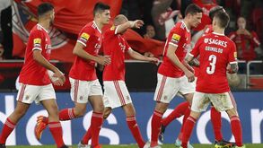 O resumo do Benfica-Portimonense: golo, casos e outros lances