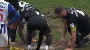 Jogadores do Ac. Viseu puseram mãos à obra e tentaram 'reparar' relvado frente ao FC Porto B