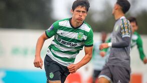 Sporting B-V. Setúbal, 1-0: Callai parou tudo