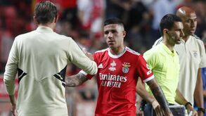 Enzo e mais dez: o onze provável do Benfica para o jogo com o Varzim