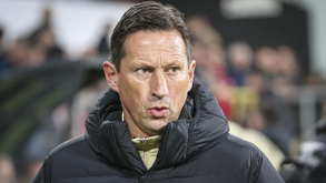 Schmidt: «Nunca duvidei da atitude e personalidade de Enzo. Adora jogar pelo Benfica»