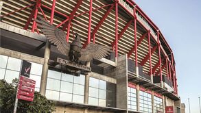 Ministério Público recusa dinheiro do Benfica para travar processo do caso ‘Saco Azul’