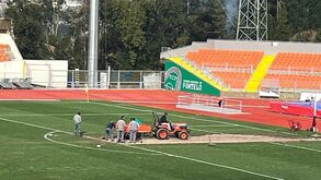 Trabalhos de melhoria do relvado do Estádio do Fontelo já arrancaram