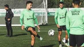 Mercado é assunto de verão para Pote