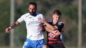 De bestiais a distritais