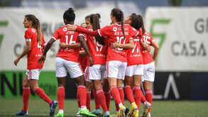 Benfica recebe Amora em jogo de extremos