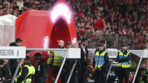 Confusão no túnel após o Benfica-Sporting: Hugo Viana e elemento da segurança das águias envolvidos