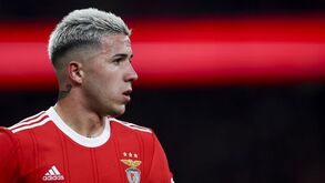 Enzo pesa tudo o que come: dieta secreta só admitia pecado na véspera dos jogos 