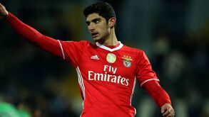 Gonçalo Guedes: do menino de 8 anos a chorar até ao possível regresso a 'casa'