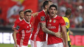 Gonçalo Guedes marcou 11 golos com a camisola do Benfica: esta 'bomba' terá sido o melhor?