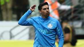 Abel Ferreira espera reforços