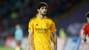 Roger Schmidt revela o que pediu a Gonçalo Guedes antes do jogo com o Santa Clara