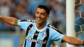 Renato Gaúcho: «Suárez faz com que os outros olhem o Grémio de forma diferente»