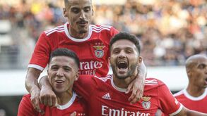 O balanço da 1.ª volta: Benfica embalado com força alemã