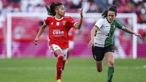 Benfica focado em ultrapassar Sporting também na Taça da Liga feminina