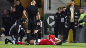 Lesão de Gonçalo Ramos preocupa Schmidt: «Não é um bom sinal...»