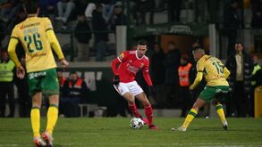 Schmidt: «Draxler está melhor do que há uns meses e ainda vai ser decisivo esta época»