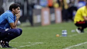 Abel Ferreira tem o Brasil a seus pés: «Já é o melhor treinador de sempre do Palmeiras»