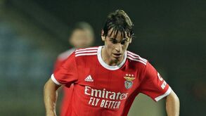 Paulo Bernardo é para rodar