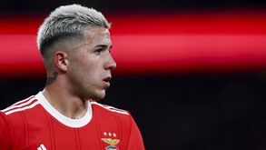 Enzo não treinou esta manhã e pressiona para deixar o Benfica
