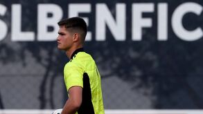 Brilhou, foi elogiado pela família benfiquista e renovou: A (meia) semana louca de André Gomes