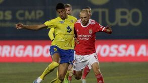 Aursnes questionado sobre Enzo: «Não sei o que está a acontecer»