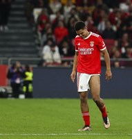 Futuro na Europa em jogo: o onze provável do Benfica para o jogo com o  Salzburgo - Fotogalerias - Jornal Record