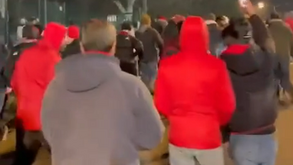 Adeptos do Benfica criam novo cântico: «Quem é o Enzo? Je ne sais pas... Chiquinho!»