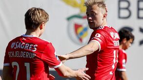 Schmidt foi ver a estreia de Tengstedt e Schjelderup no Benfica... B