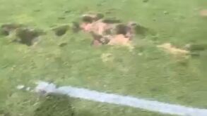 Râguebi rejeita responsabilidades no estado do relvado do Estádio Nacional