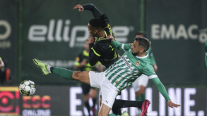 As reações à vitória do Sporting: «Era fundamental vencer antes da receção ao FC Porto»