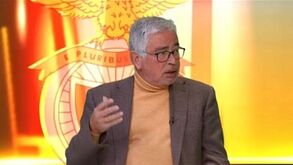 António Salvador: «Enzo faz parte da história do Benfica mas nunca será um ídolo»