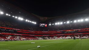 Fundação Benfica envia mil mantas térmicas para apoio às vítimas dos sismos na Turquia e na Síria