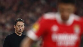 Benfica quer a desforra na Pedreira: o onze provável das águias para o jogo com o Sp. Braga