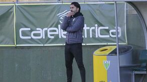 Tozé Marreco: «Precisamos de aumentar a nossa eficácia»