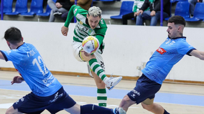 A crónica do Futsal Azeméis-Sporting, 1-11: Desnível permite banquete