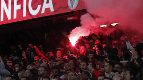Adeptos do Benfica fizeram-se sócios do Club Brugge para terem acesso a mais bilhetes