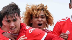 A crónica do Benfica-V. Guimarães, 6-0: Goleada sem dó nem piedade