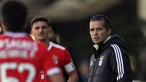 APAF envia declarações do treinador do Benfica B e da newsletter do FC Porto para o CD