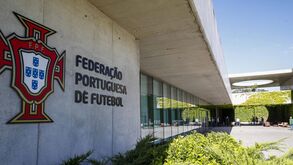 Apostas rendem 245 milhões de euros às federações desportivas entre 2018 e 2022